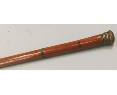 A malacca walking stick, the top with screw top revealing a recess with a glass file and stopper, presumably for spirits etc.