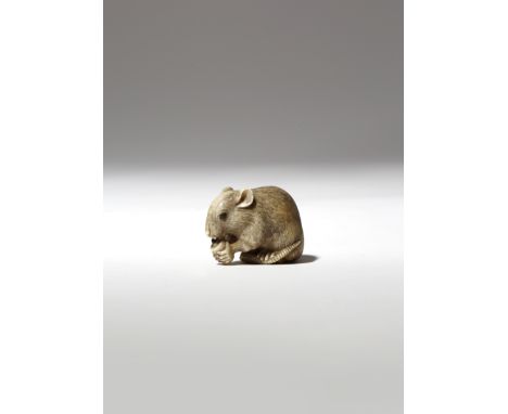 λ A JAPANESE IVORY NETSUKE OF A RAT MEIJI PERIOD, 19TH CENTURY The rodent naturalistically carved, seated on its haunches and