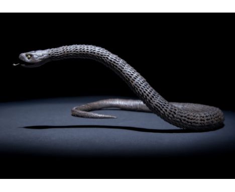 A LARGE JAPANESE MYOCHIN ARTICULATED IRON MODEL OF A SNAKE, JIZAI OKIMONO EDO OR MEIJI PERIOD, 18TH OR 19TH CENTURY Realistic