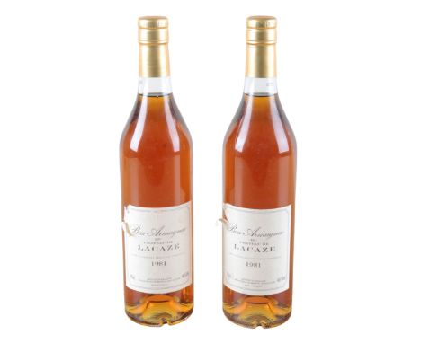 CHATEAU DE LACAZE BAS ARMAGNAC 1981bottled for Howells of Bristol, two 70cl bottles (2)