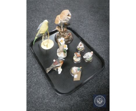 A tray of eight bird figures including Goebel, Country Artists and Royal Osborne