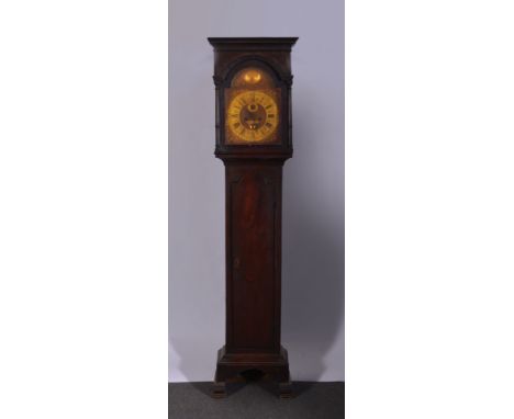 Mahogany longcase clock, moulded cornice, the hood with three quarter turned columns, long door, adapted base, 12" arched bra