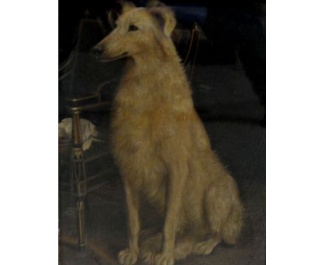L Detmold, dog portrait, oil, signed, 54cm x 39cm, five gilt pictures frames and a modern frame, (7).