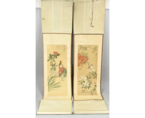 Two old signed Chinese scroll paintings with birds on branch decor. 20th century. Watercolour on paper. Dimensions: L 83 x W 