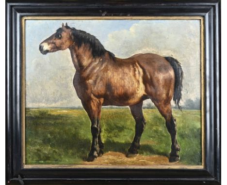 Unsigned. 18th - 19th Century. Portrait of a horse. Marouflé on 18th century panel. Restorations. Dimensions: H 44 x W 54 cm.
