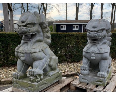 Two capital Chinese Foo dogs of granite. Weight each approximately 1000 kilos. 20th century. Dimensions: 129 x 80 x 56 cm. In
