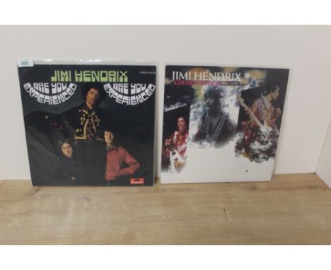 A lot of two Jimi Hendrix Experience albums both at least VG+