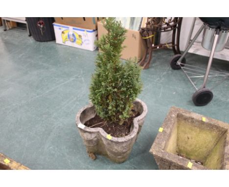 Garden planter with plant, height 25 cm x 34 cm
