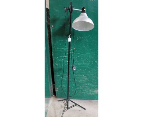 A photographer's light on adjustable tripod stand  