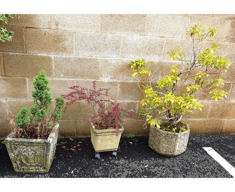 Two square composite garden planters and one planter moulded with leaves and flowers