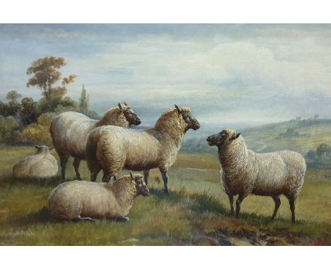 Charles Jones  (1836 - 1892)Oil on canvasStudy of Suffolk (?)  sheep on hillside, monogrammed and labelled to gilt frame, wit
