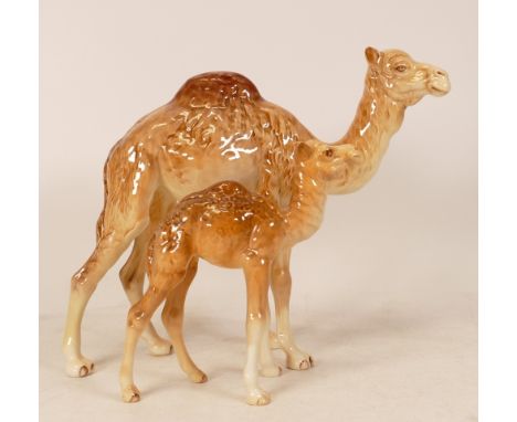 Beswick Camel and foal: Models 1044 &amp; 1043 (2) 