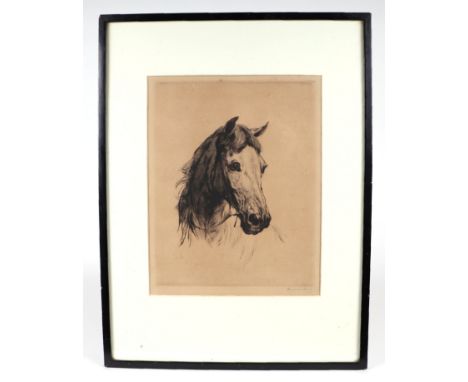Haywood Hardy (1892-1933) - Study of a Horse - drypoint etching, signed in pencil lower right, framed & glazed, 27 by 35cms.