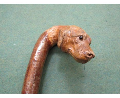 A carved golden retriever head walking stick with glass eyes