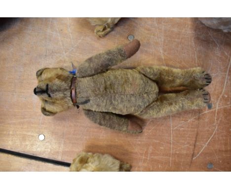 An early 1920s British growler teddy bear with straw-filled head, button eyes, original leather and metal collar, hand embroi
