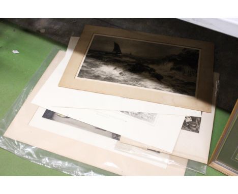 A COLLECTION OF NINE LARGE VINTAGE PRINTS