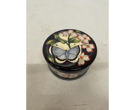 A MOORCROFT CIRCULAR LIDDED POT BLUE GARDIANS - SIGNED K. GOODWIN - 10.5 CM (W) 5.5 CM (H)