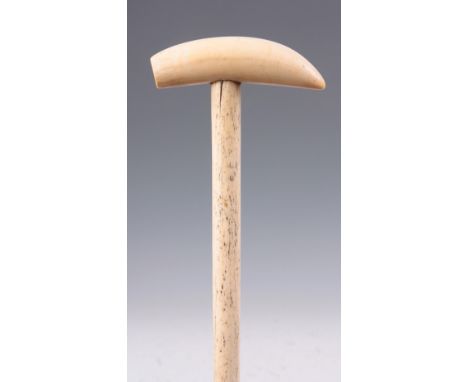 A 19TH CENTURY WHALEBONE WALKING STICK of tapered form with whale tooth handle 87cm overall 