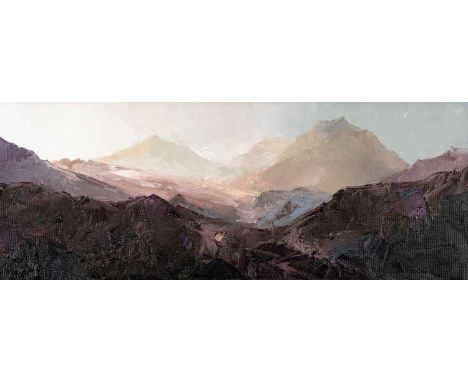 ‡DAVID GROSVENOR (b.1956) oil on canvas - entitled verso, 'Snowdon, Evening Light', signed, 19 x 49.5cmsProvenance: private c