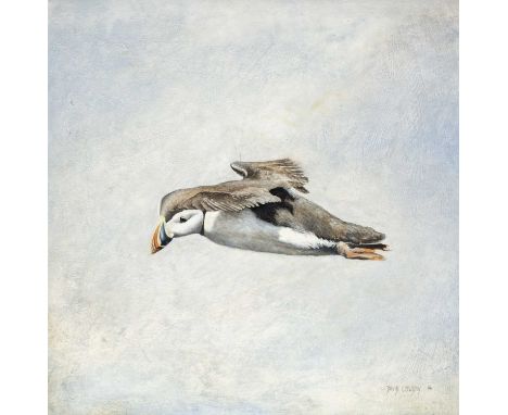 ‡DAVID COWDRY oil on panel - puffin in flight, signed and dated 1994, 45 x 45cmsProvenance: private collection BridgendCommen