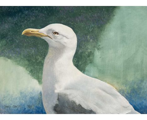 ‡DAVID COWDRY oil on panel - study of a gull, signed and dated 1995, 26 x 36cmsProvenance: private collection BridgendComment