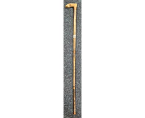 19th century horn carved walking cane. Having a handle carved in the form of a horse leg and hoof. Having brass mounts. 85.5c