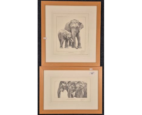 Two limited edition prints; K.J Hayler of elephant scenes titled "Jumbo Family" &amp; "Trunks &amp; Textures". frame 49x45cm.