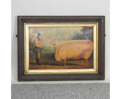 English school, sheep, print, 29 x 45cm