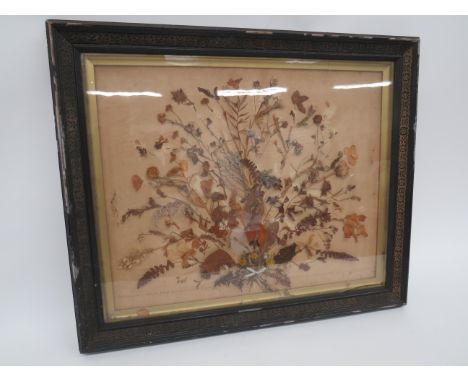 Unusual Boer War 2nd North Stafford Collection of Flowers Picked From The Battlefieldsdisplay of wild flowers mounted on card