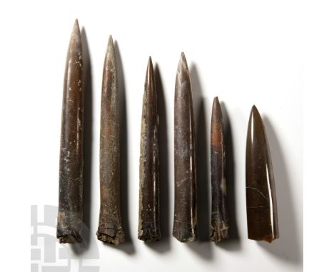 Jurassic Period, circa 200-145 million years B.P. Comprising six bullet-shaped rostra of Belemnite cylindroteuthis.  368 gram