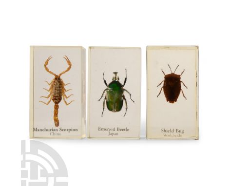 20th century A.D. Comprising three resin blocks with: a shield bug; Manchurian scorpion from China; an emerald beetle from Ja