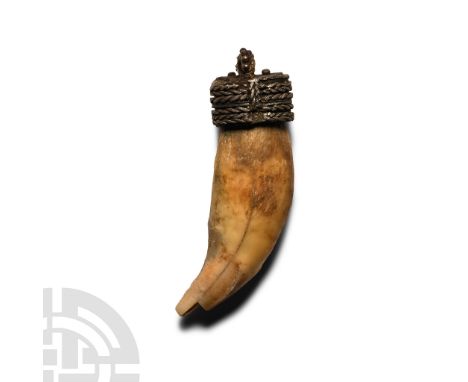 9th-11th century A.D. Comprising the canine tooth of a wolf or large dog, with silver filigree collar and suspension loop. Cf