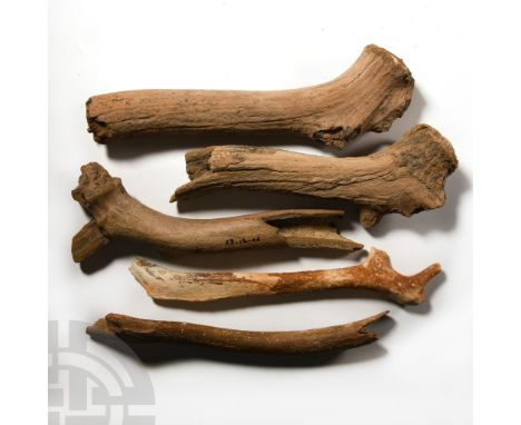 Late Pleistocene Period, 1.5 million-7,700 years B.P. From red deer Cervus elaphus, comprising five specimens.  2.51 kg total