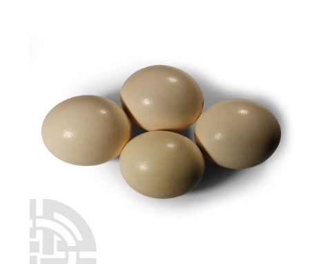 20th century A.D. Comprising four glossy cream-coloured eggs with drilled holes to the base.  969 grams total, 14.5-15.5 cm (