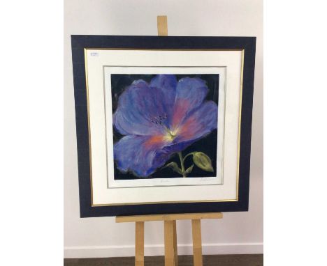 Hiawatha, a limited edition print, signed, titled and numbered 297/395, mounted and framed overall size 65cm x 65cm
