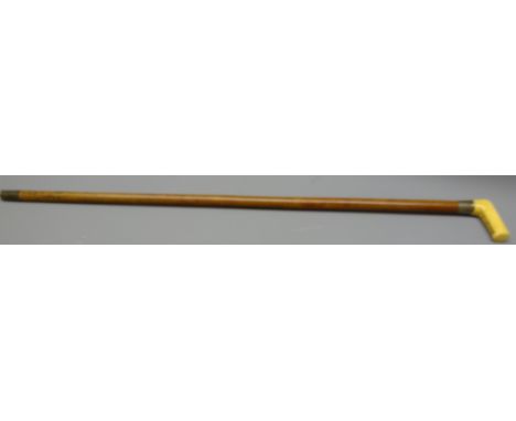 Victorian malacca Walking stick with walrus ivory handle, silver collar engraved Charles Wright, Whitby, metal ferrule, L87cm