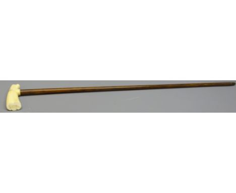 Palm wood Walking stick with walrus ivory handle, metal ferrule, L94cm   Condition Report   Click here for further images, co