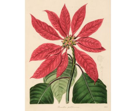 Maund (Benjamin). The Botanist; consisting of highly finished representation of tender and hardy ornamental plants, volumes 1