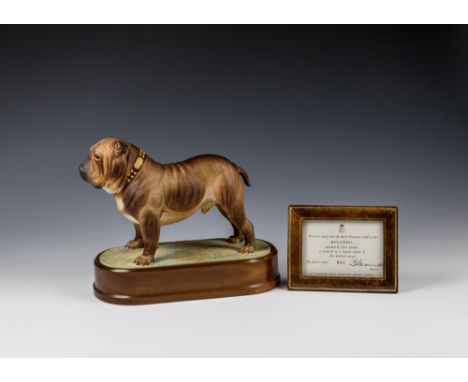 A Royal Worcester limited edition model of a Bulldog1968, modelled by Doris Linder, limited edition No: 312/500, raised on ov