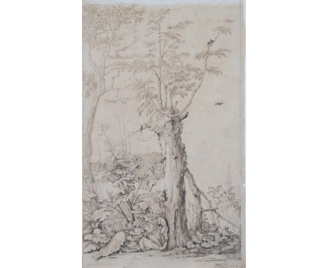 F.J. Van der Elst (Dutch School, 17th century), pair of drawings of trees, pen and brown ink, each signed lower right, each a