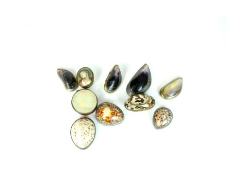 Three white metal mounted cowry shell snuff boxes, together with four metal mounted mussel shell snuff boxes, a circular box 