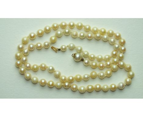 A string of slightly-graduated cultured pearls with concealed pearl clasp, 57cm.