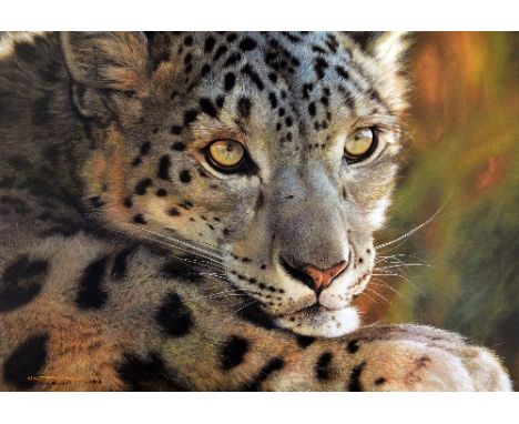 CARL BRENDERS, 'SNOW LEOPARD', a limited edition print 858/950, signed and numbered in pen, with certificate, unframed