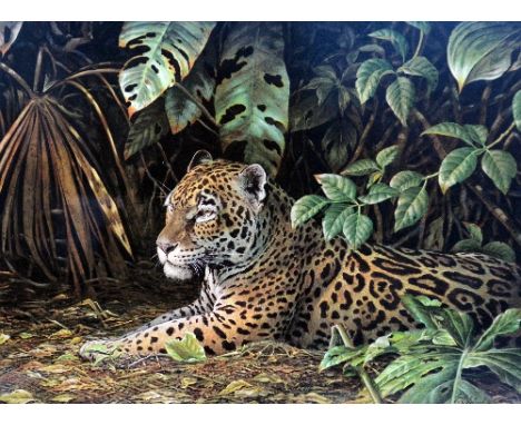 GUY COHELEACH, 'JUNGLE COVER - JAGUAR', a limited edition print 129/750, signed and numbered with certificate, framed, 55cm x