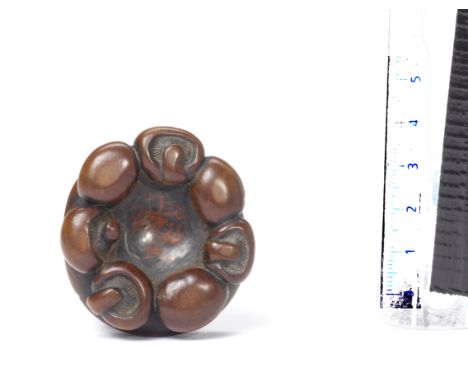 A wood netsuke of mushroomsBy Takabishi, early 19th centuryOne large fungus with seven smaller button mushrooms resting on th