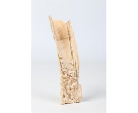 A Japanese Meiji period carved ivory okimono. Formed as a fragment of gnarled bamboo trunk, carved to the reverse with furthe