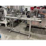 Stainless Steel Frame Conveyor, Approx 4in W x 8ft L | Rig Fee $400