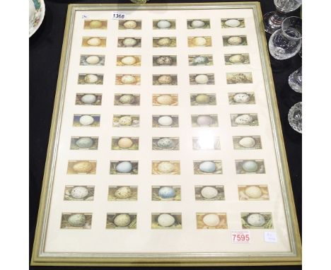 Framed set of Ogrens Birds Eggs cigarette cards