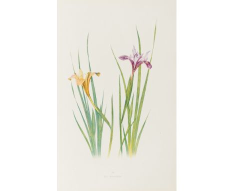 Botany.- Dykes (William Rickatson) The Genus Iris, first edition, presentation copy from author, 48 colour plates, illustrati