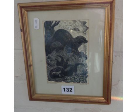 C.R. Tunnicliffe (1901-1979) etching of otters, 6" x 4" signed in pencil lower left on mount and titled "Woodstock"
